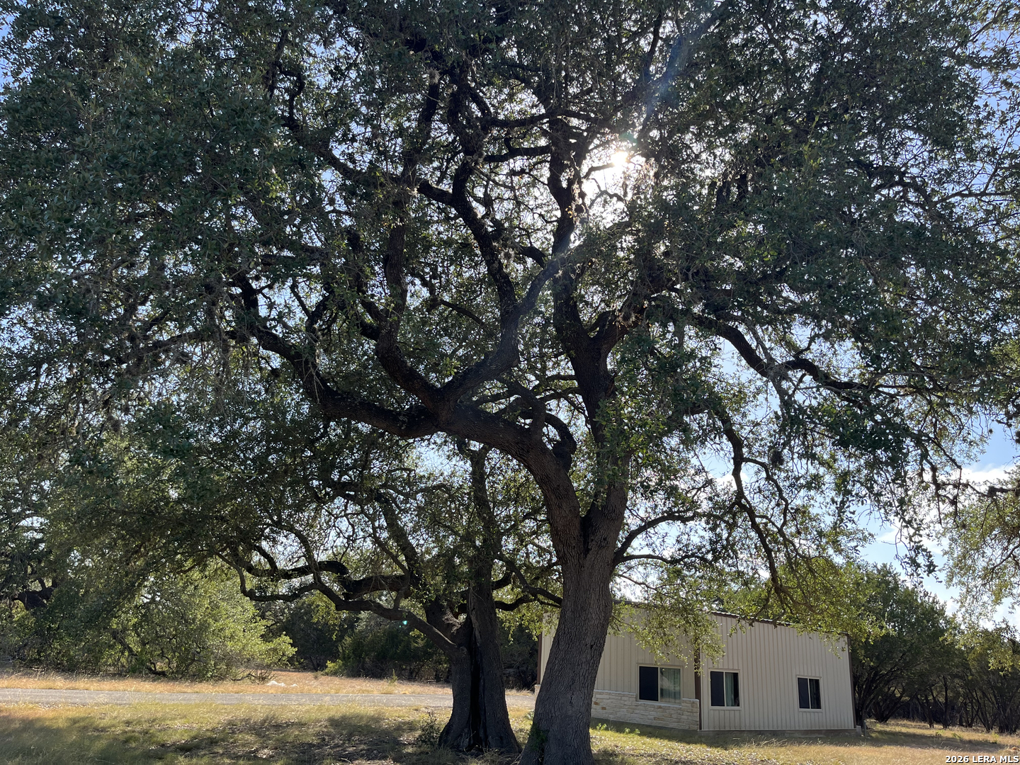 239 Appaloosa Hollow Bandera TX 78003