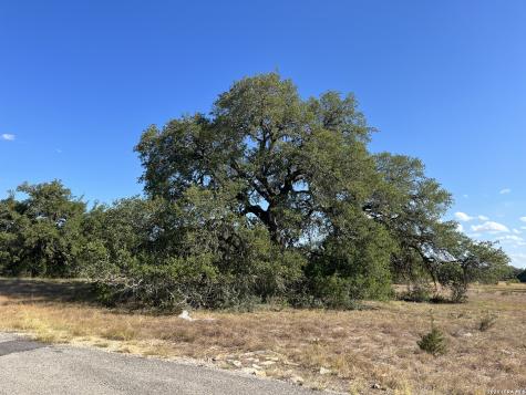 239 Appaloosa Hollow Bandera TX 78003