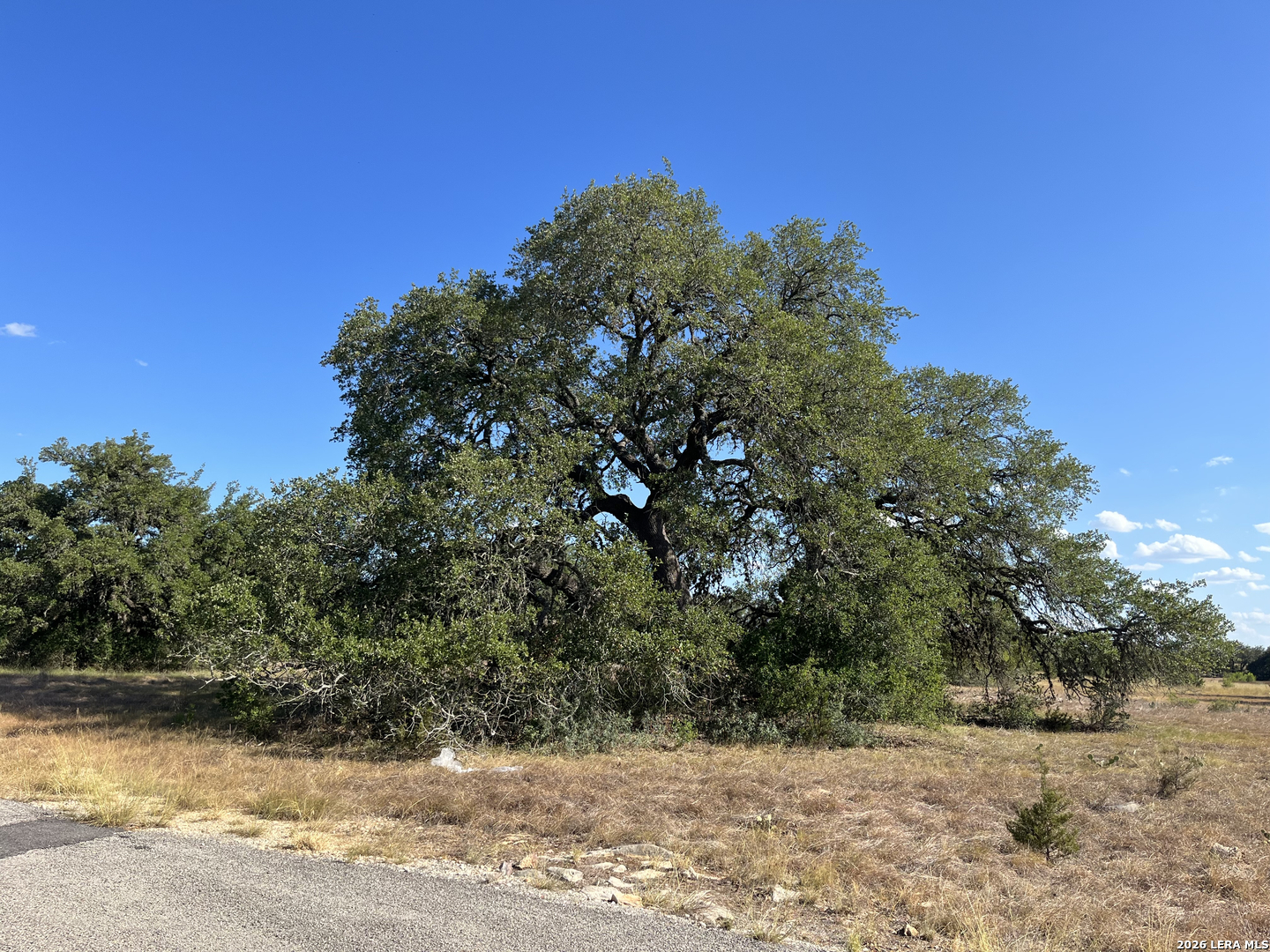 239 Appaloosa Hollow Bandera TX 78003