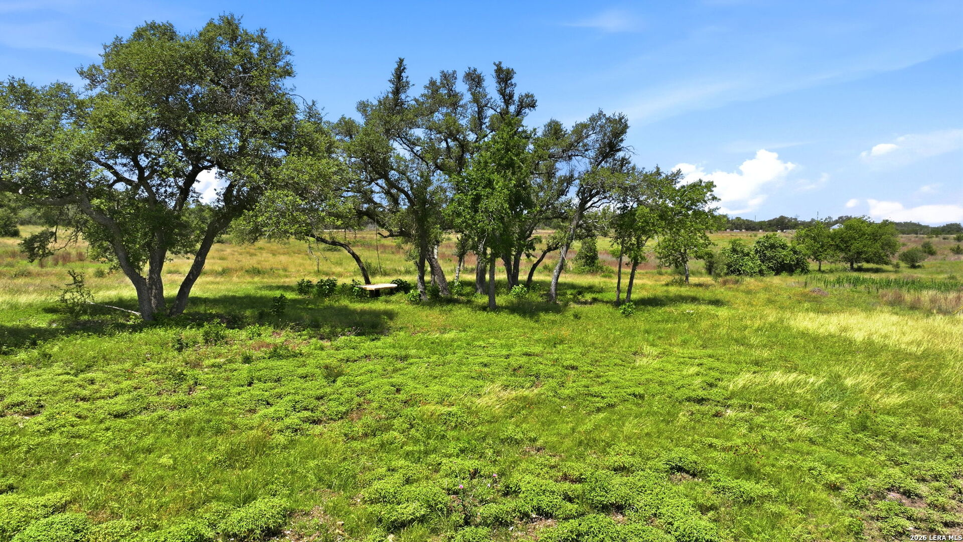 718 Windmill Ridge Blanco TX 78606