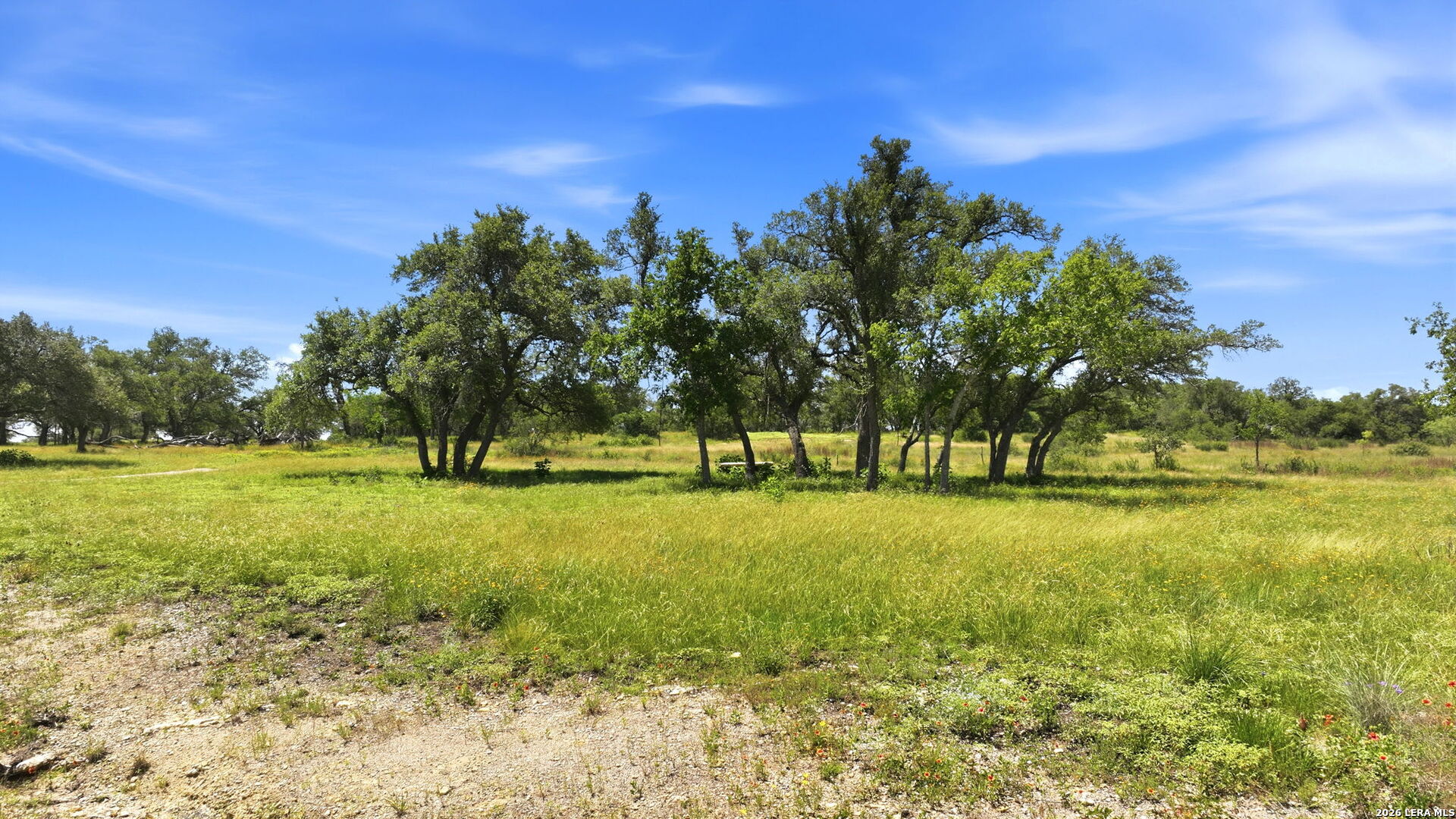718 Windmill Ridge Blanco TX 78606