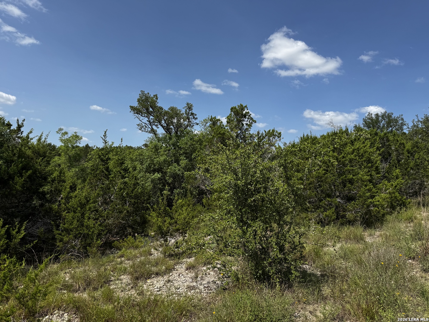 Lot 1 Hillside Drive Spring Branch TX 78070