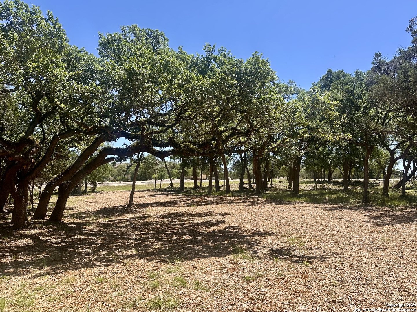 288 Scenic Canyon New Braunfels TX 78132