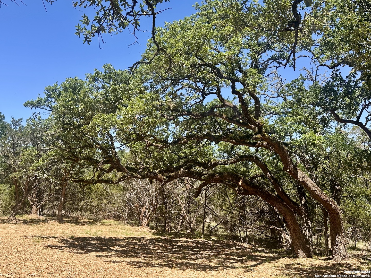 288 Scenic Canyon New Braunfels TX 78132