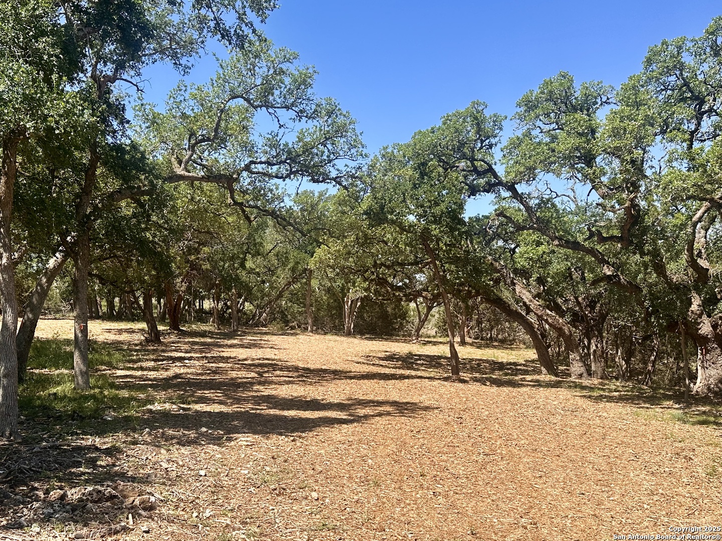 288 Scenic Canyon New Braunfels TX 78132