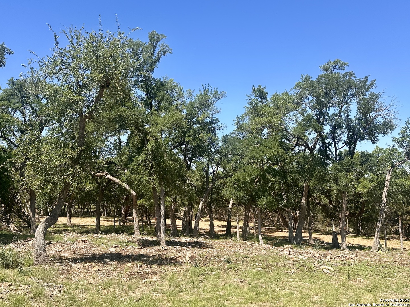 288 Scenic Canyon New Braunfels TX 78132