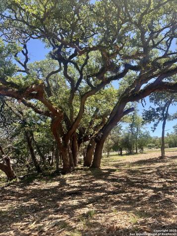 288 Scenic Canyon New Braunfels TX 78132