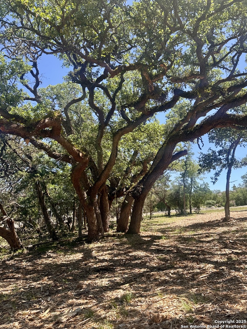 288 Scenic Canyon New Braunfels TX 78132