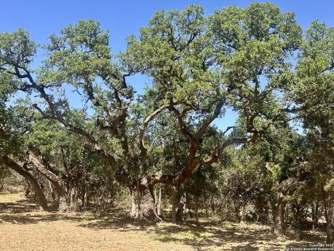 288 Scenic Canyon New Braunfels TX 78132