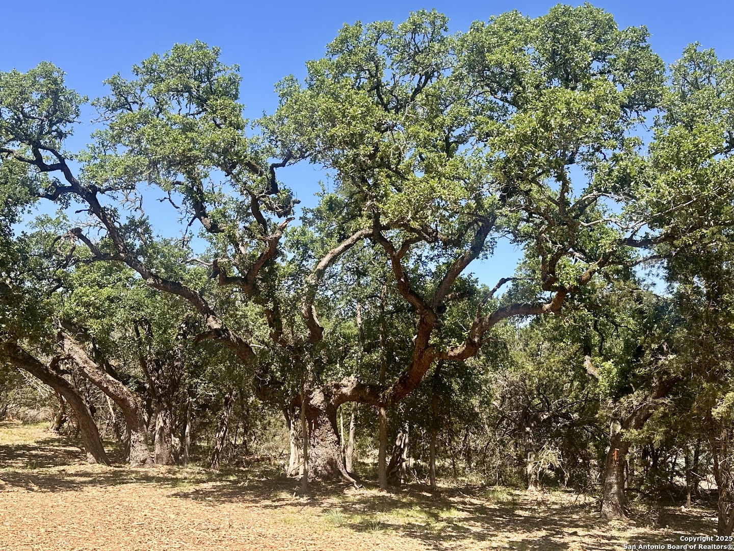 288 Scenic Canyon New Braunfels TX 78132