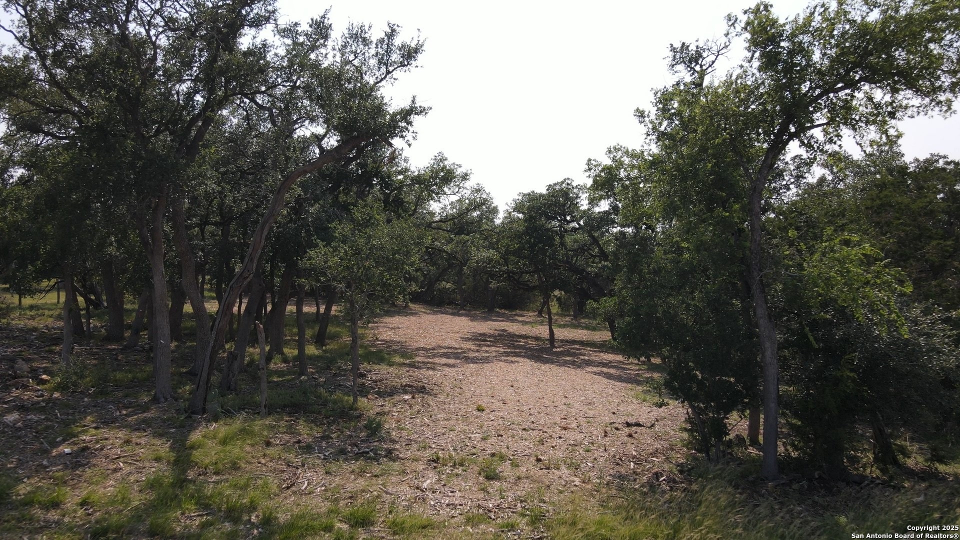 288 Scenic Canyon New Braunfels TX 78132