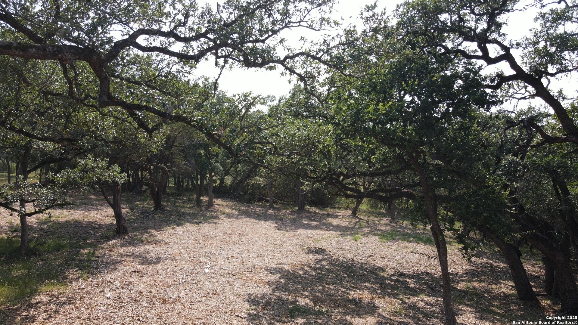 288 Scenic Canyon New Braunfels TX 78132