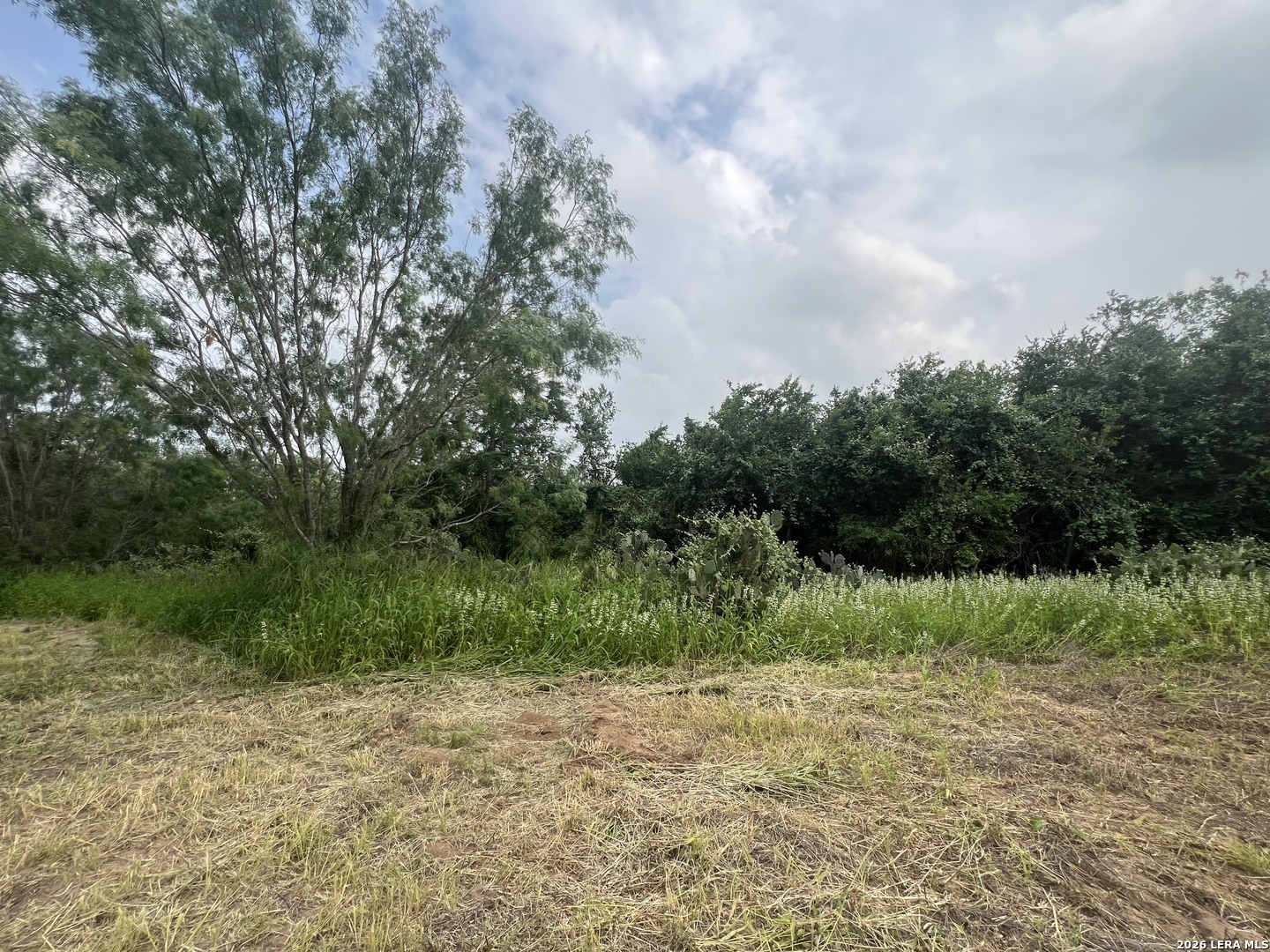 5967 Granato Road Poteet TX 78065