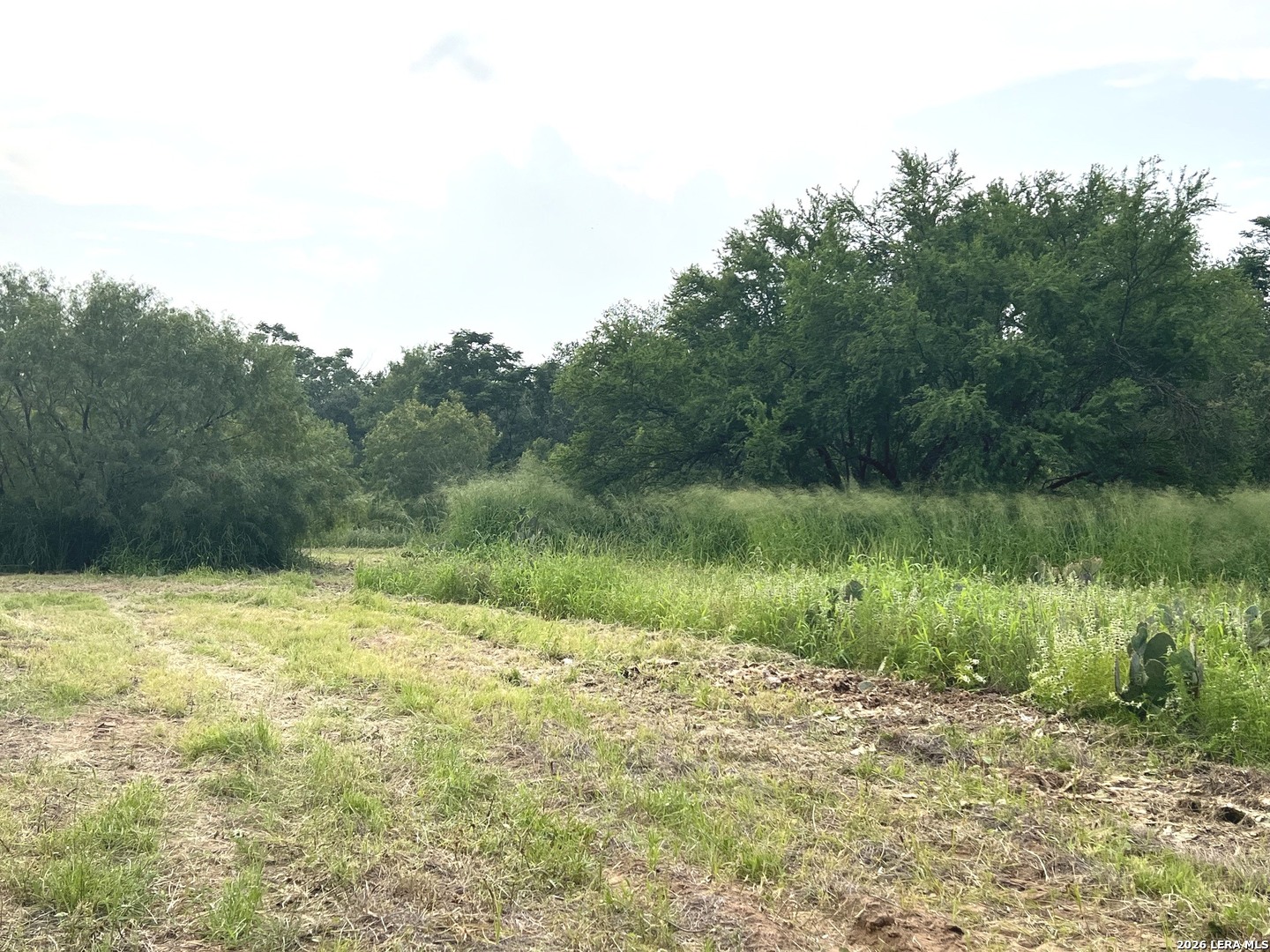 5967 Granato Road Poteet TX 78065