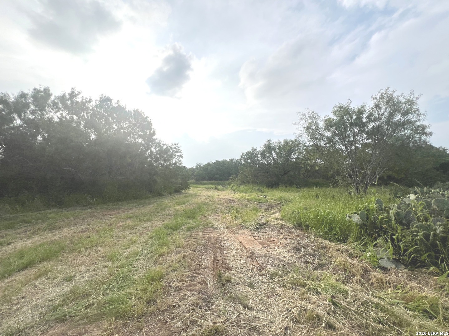 5967 Granato Road Poteet TX 78065