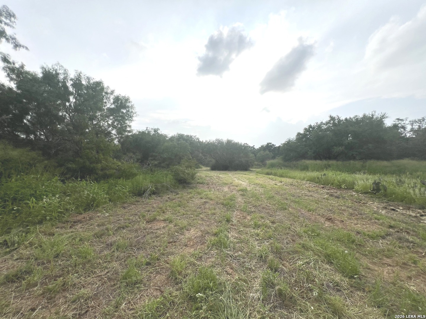 5967 Granato Road Poteet TX 78065