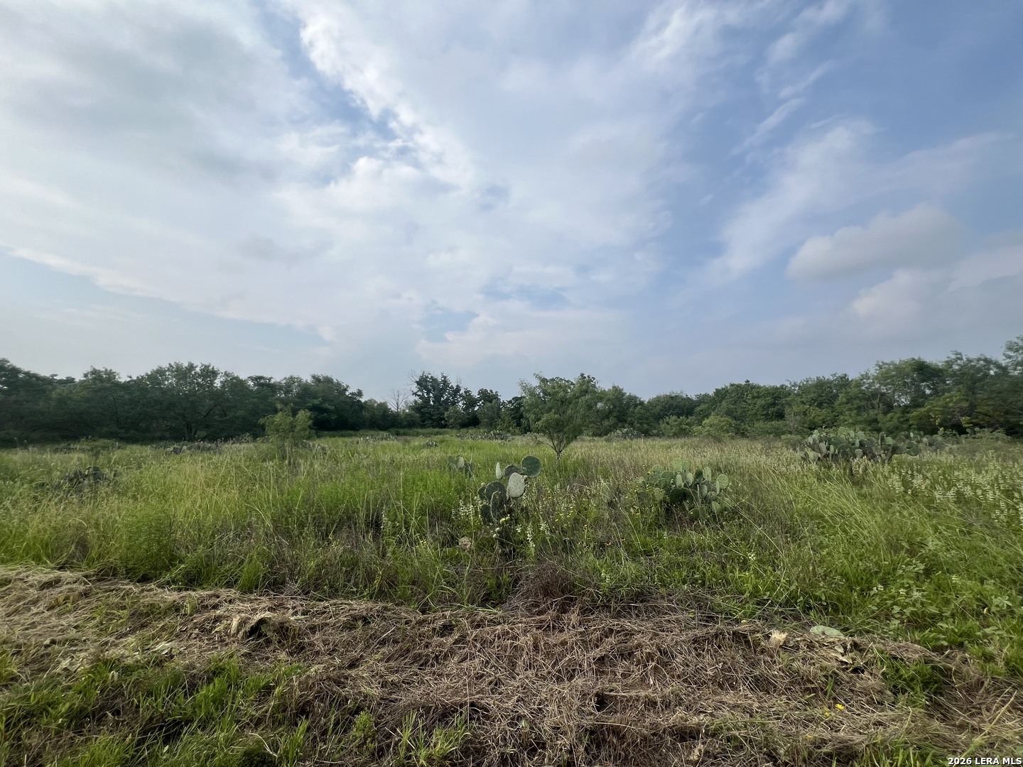 5967 Granato Road Poteet TX 78065