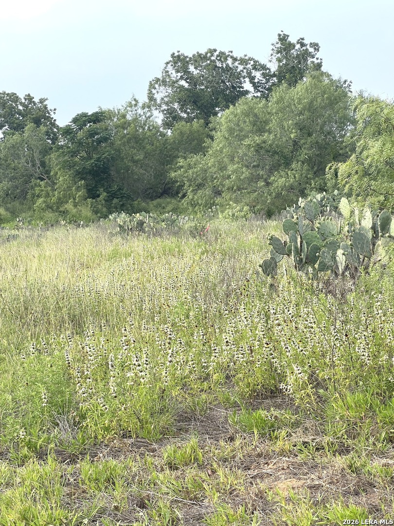 5967 Granato Road Poteet TX 78065