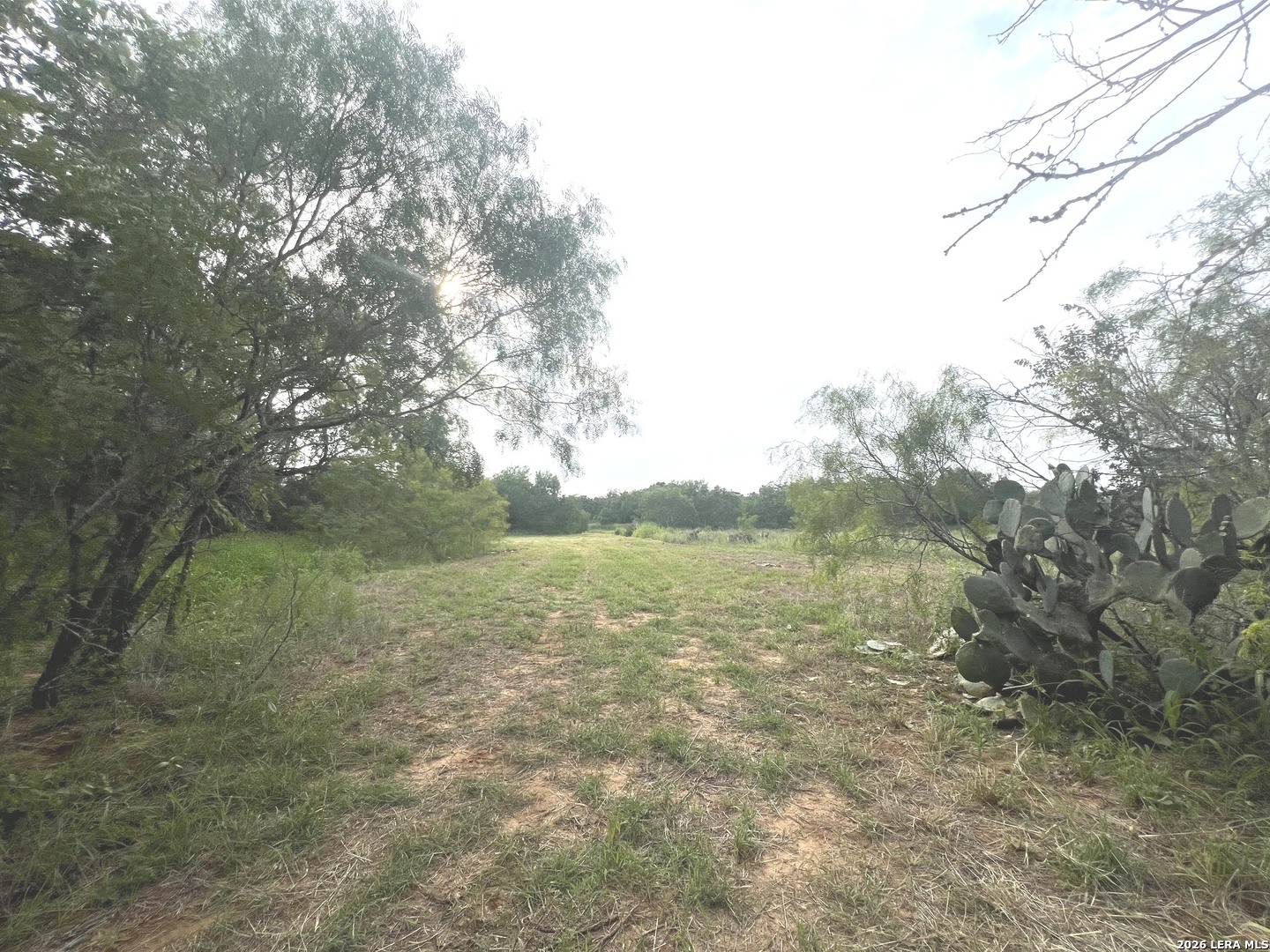 5967 Granato Road Poteet TX 78065