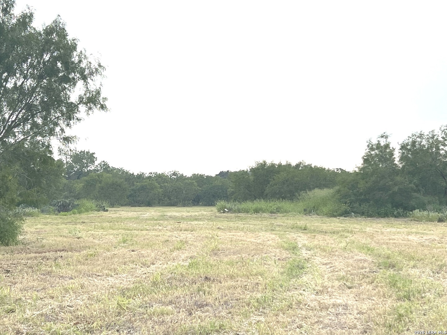 5967 Granato Road Poteet TX 78065