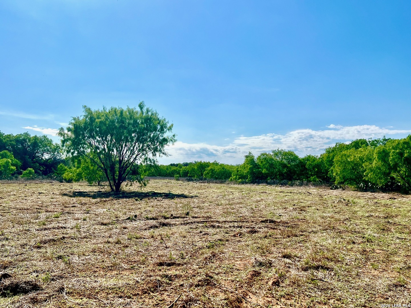 5967 Granato Road Poteet TX 78065