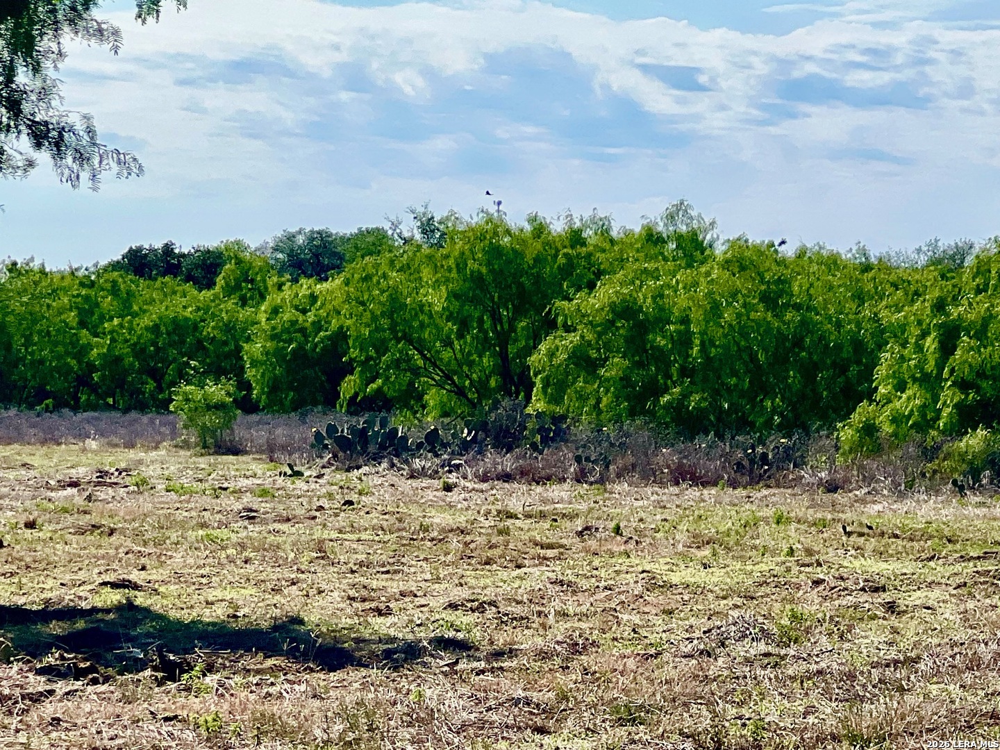 5967 Granato Road Poteet TX 78065