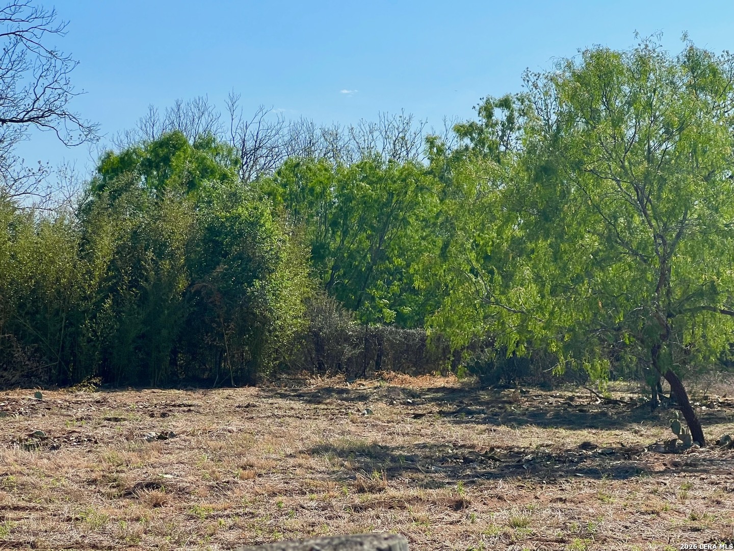 5967 Granato Road Poteet TX 78065