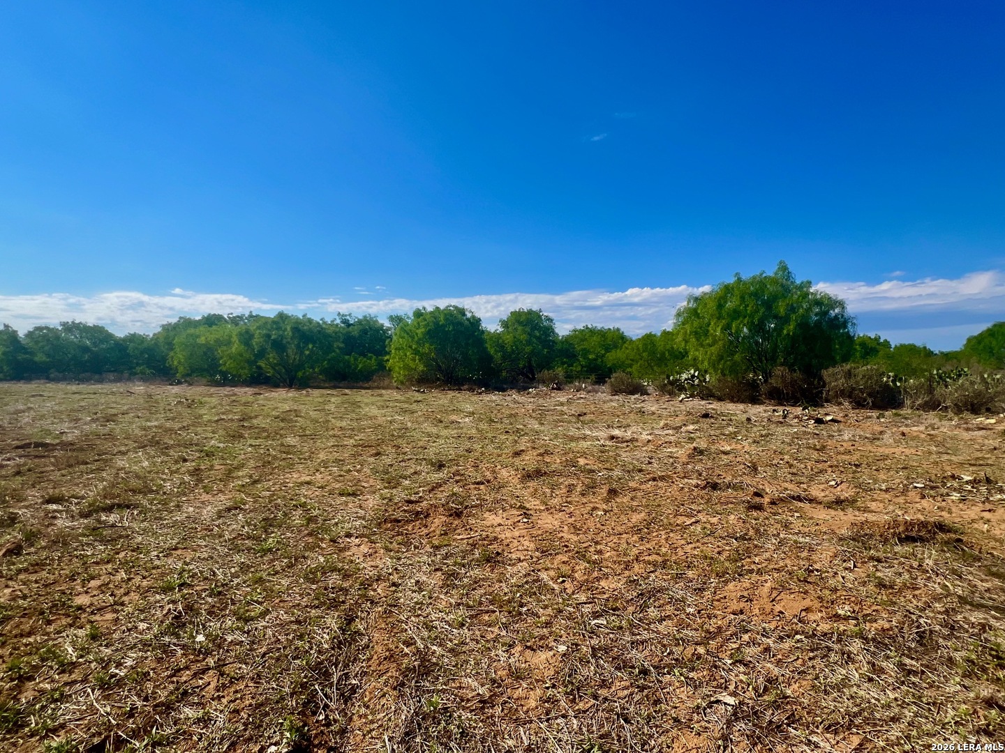 5967 Granato Road Poteet TX 78065