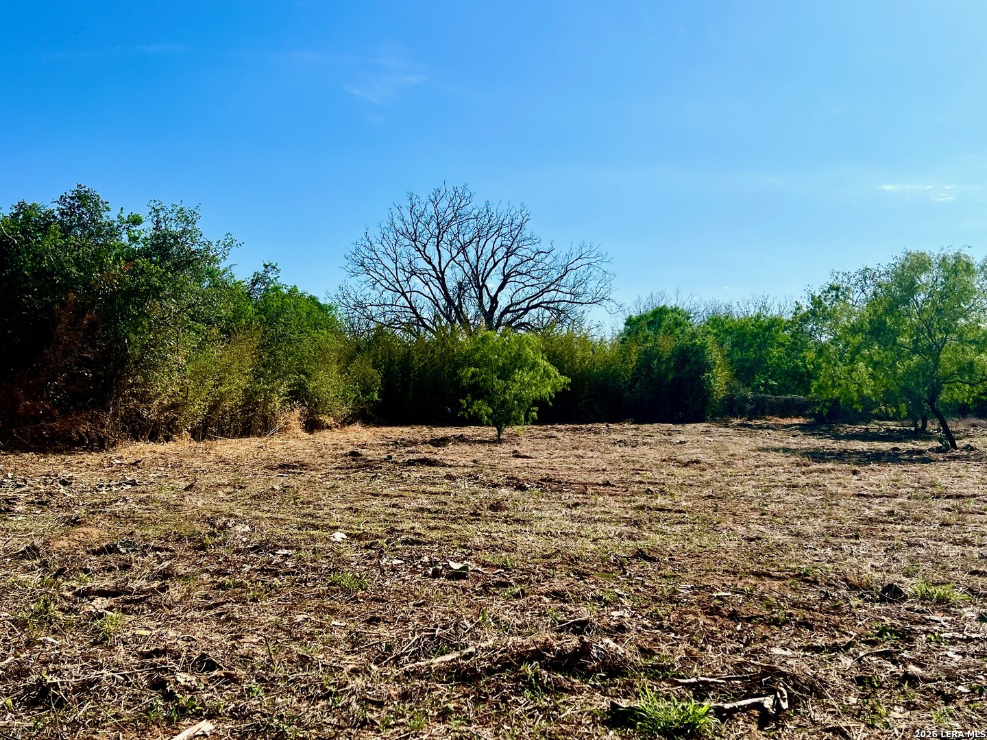5967 Granato Road Poteet TX 78065