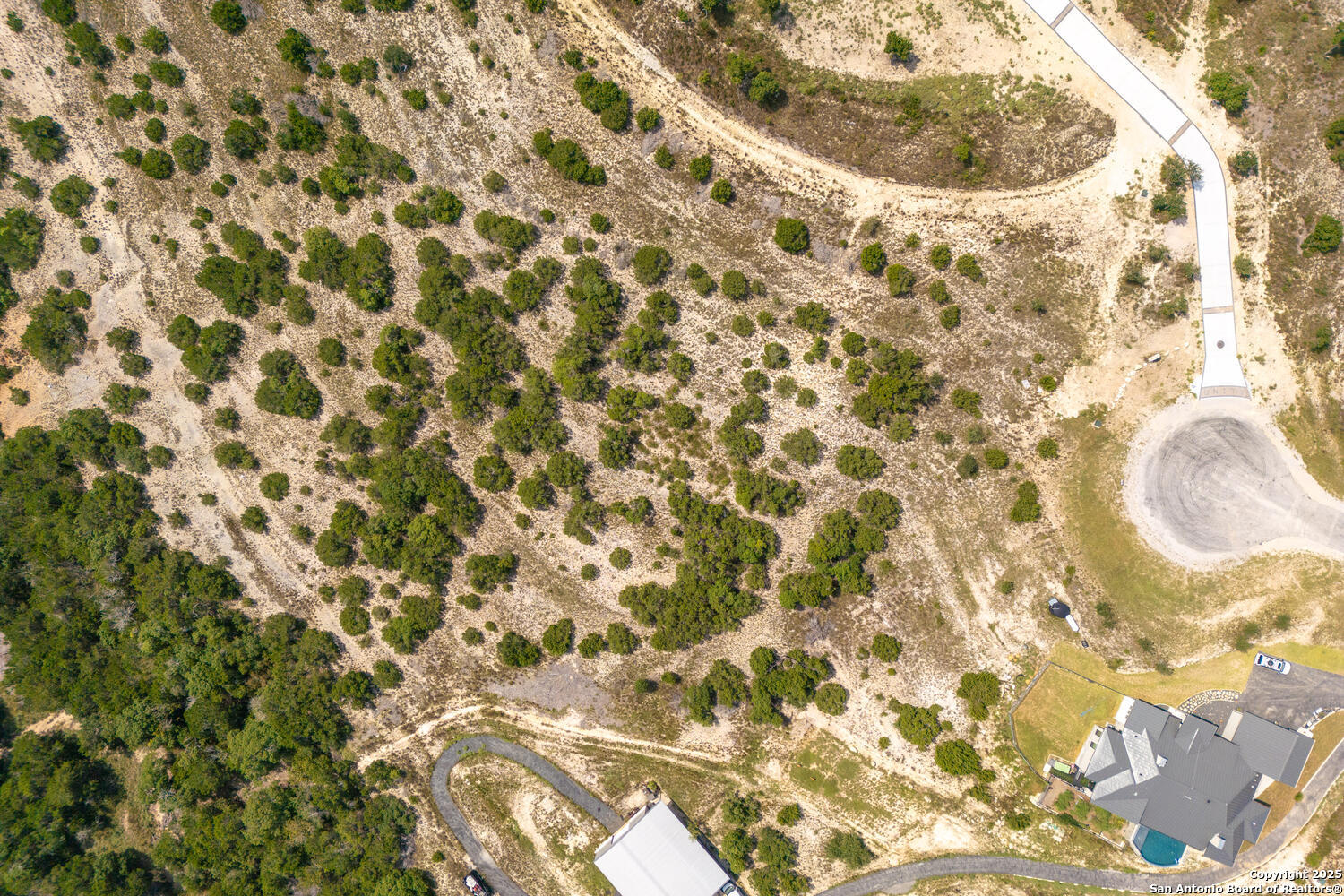 50 Thriving Oak Blanco TX 78606