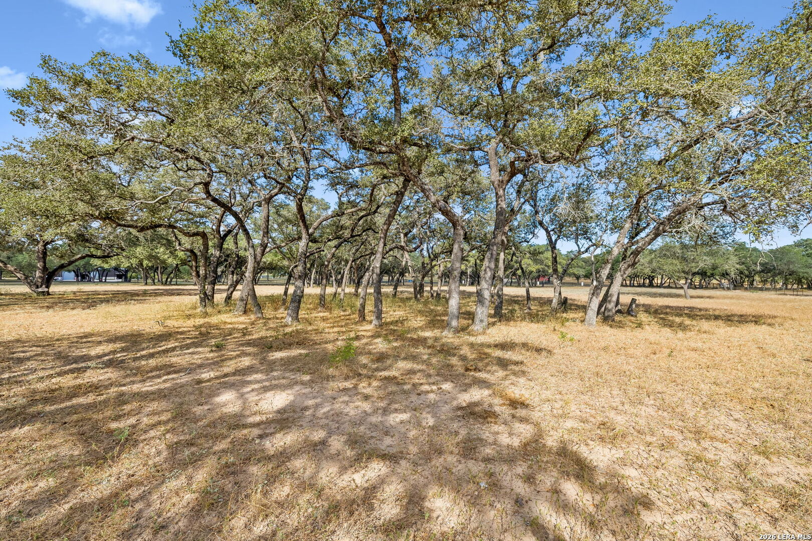 21822 Toudouze Road San Antonio TX 78264