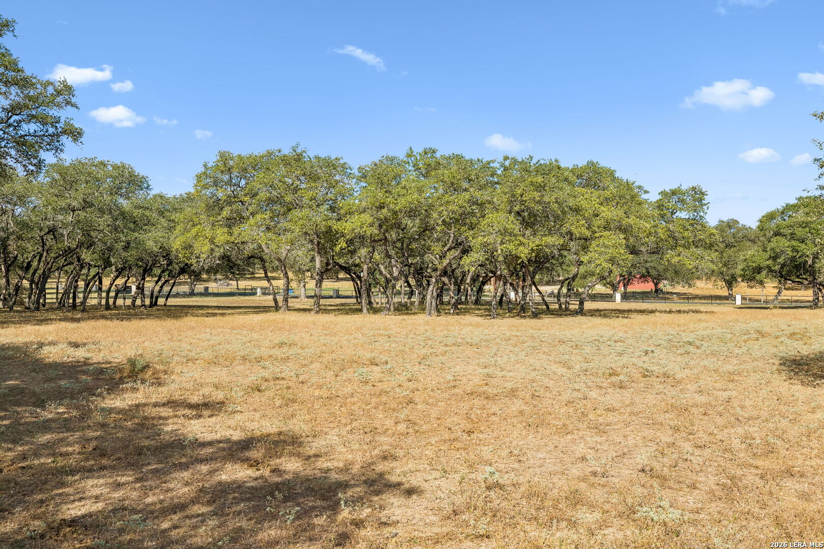21822 Toudouze Road San Antonio TX 78264