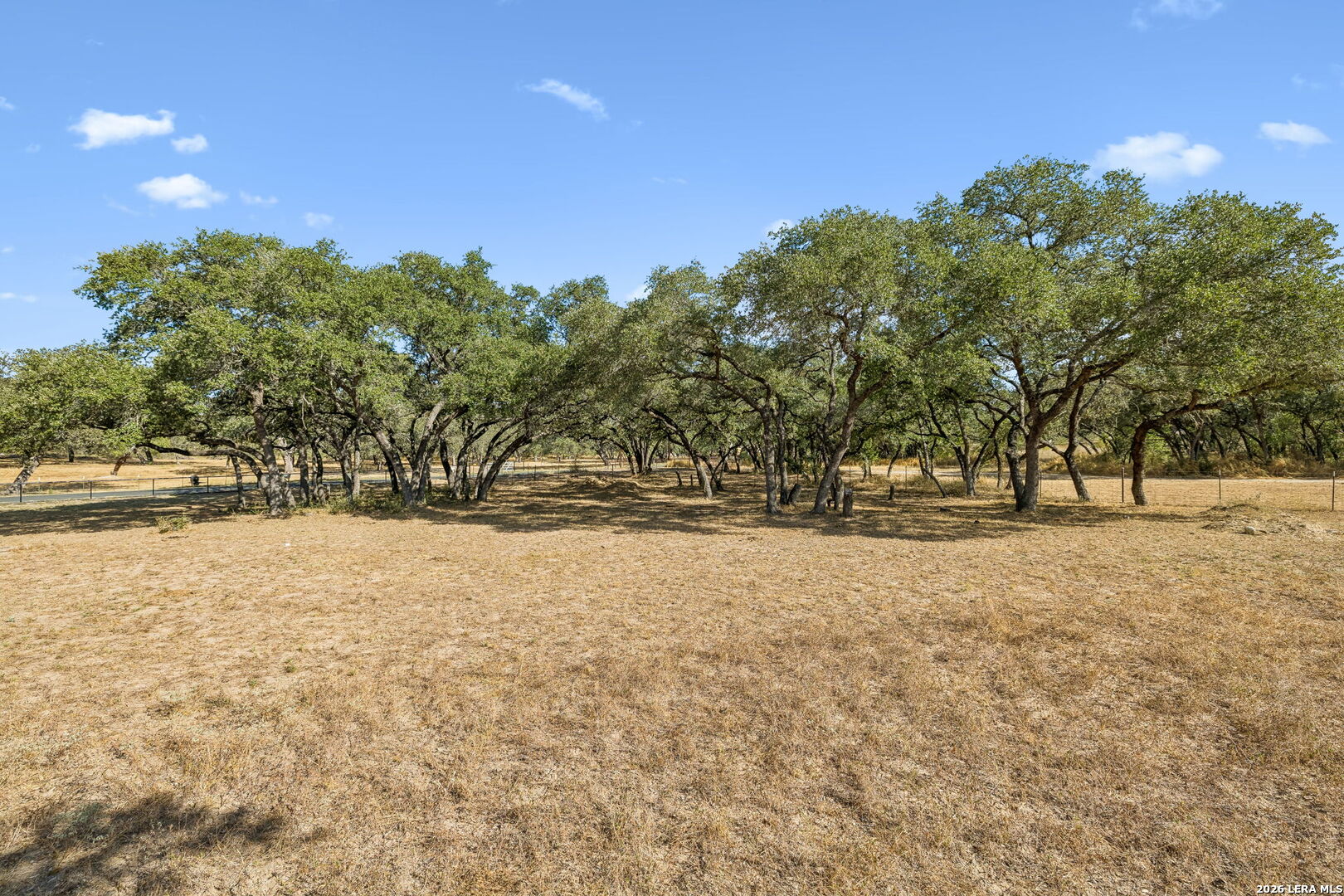 21822 Toudouze Road San Antonio TX 78264