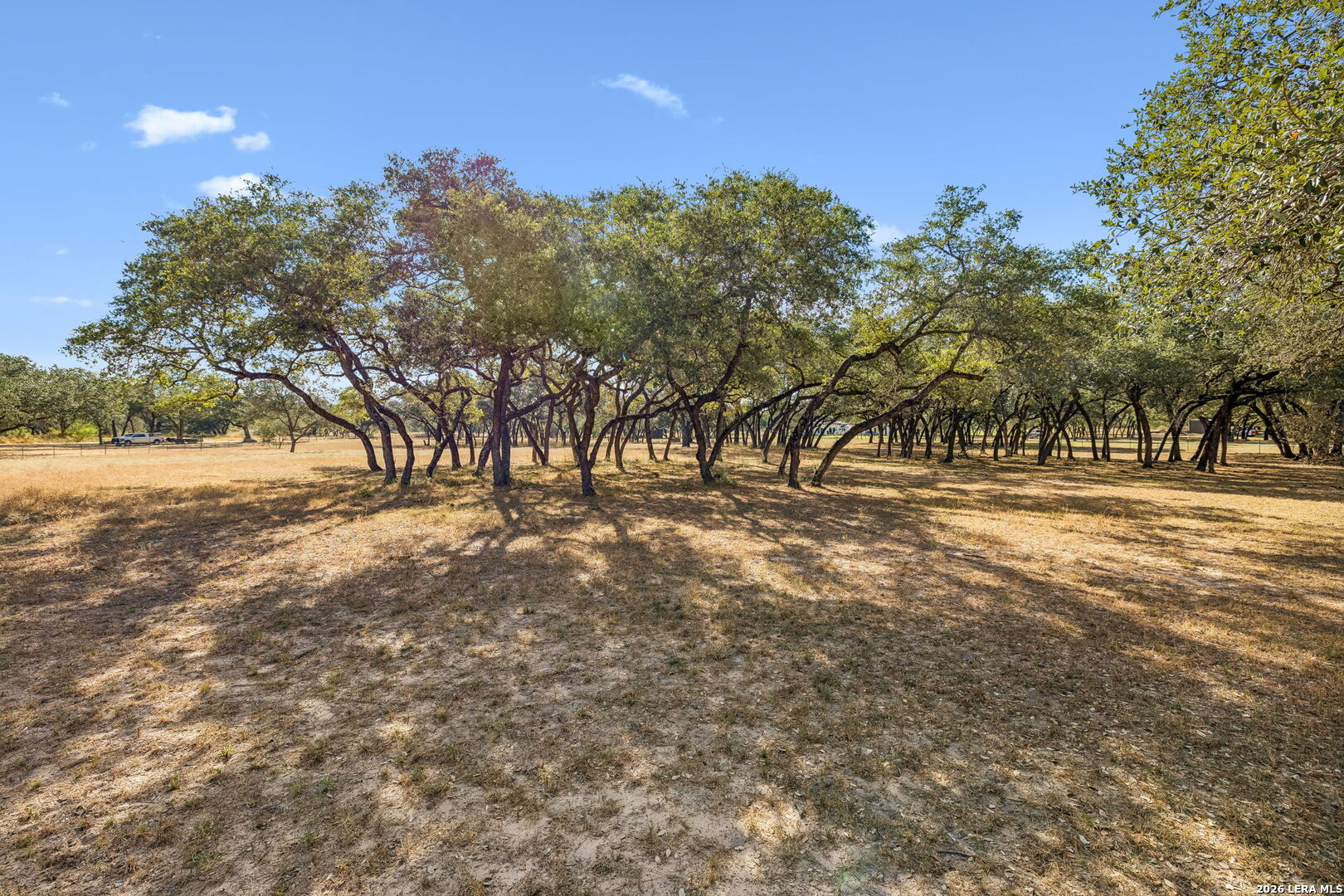 21822 Toudouze Road San Antonio TX 78264