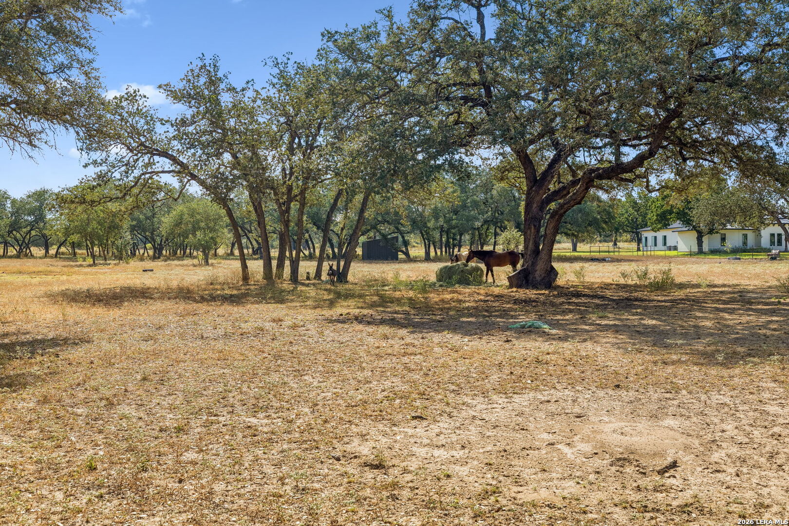 21822 Toudouze Road San Antonio TX 78264