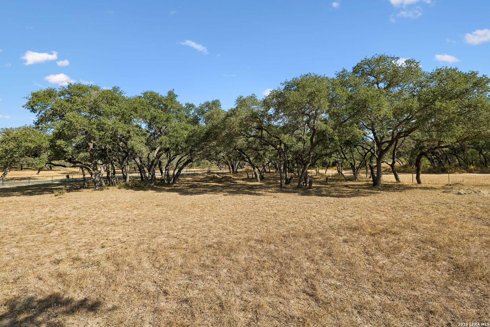 21822 Toudouze Road San Antonio TX 78264