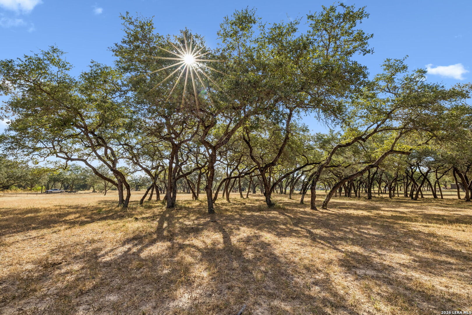 21822 Toudouze Road San Antonio TX 78264