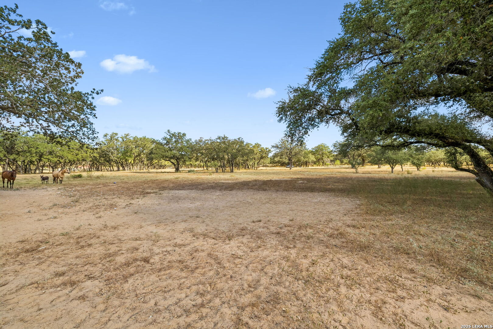 21822 Toudouze Road San Antonio TX 78264