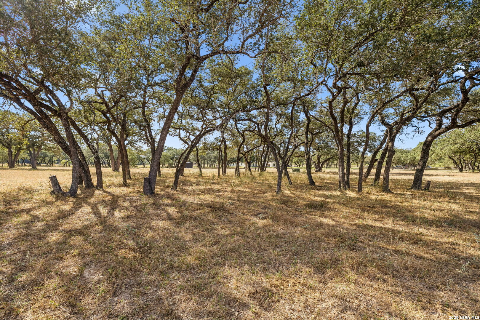 21822 Toudouze Road San Antonio TX 78264