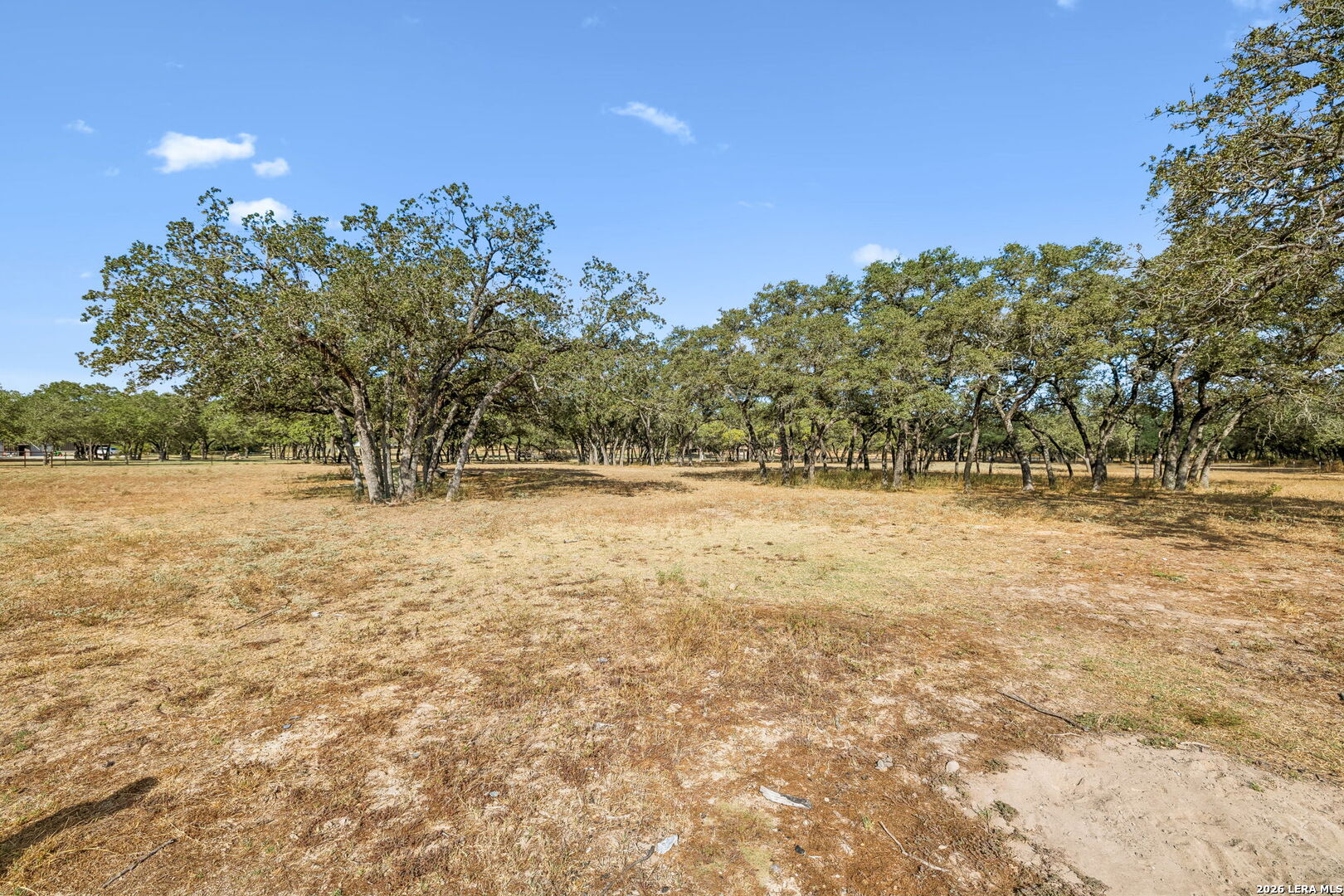 21822 Toudouze Road San Antonio TX 78264