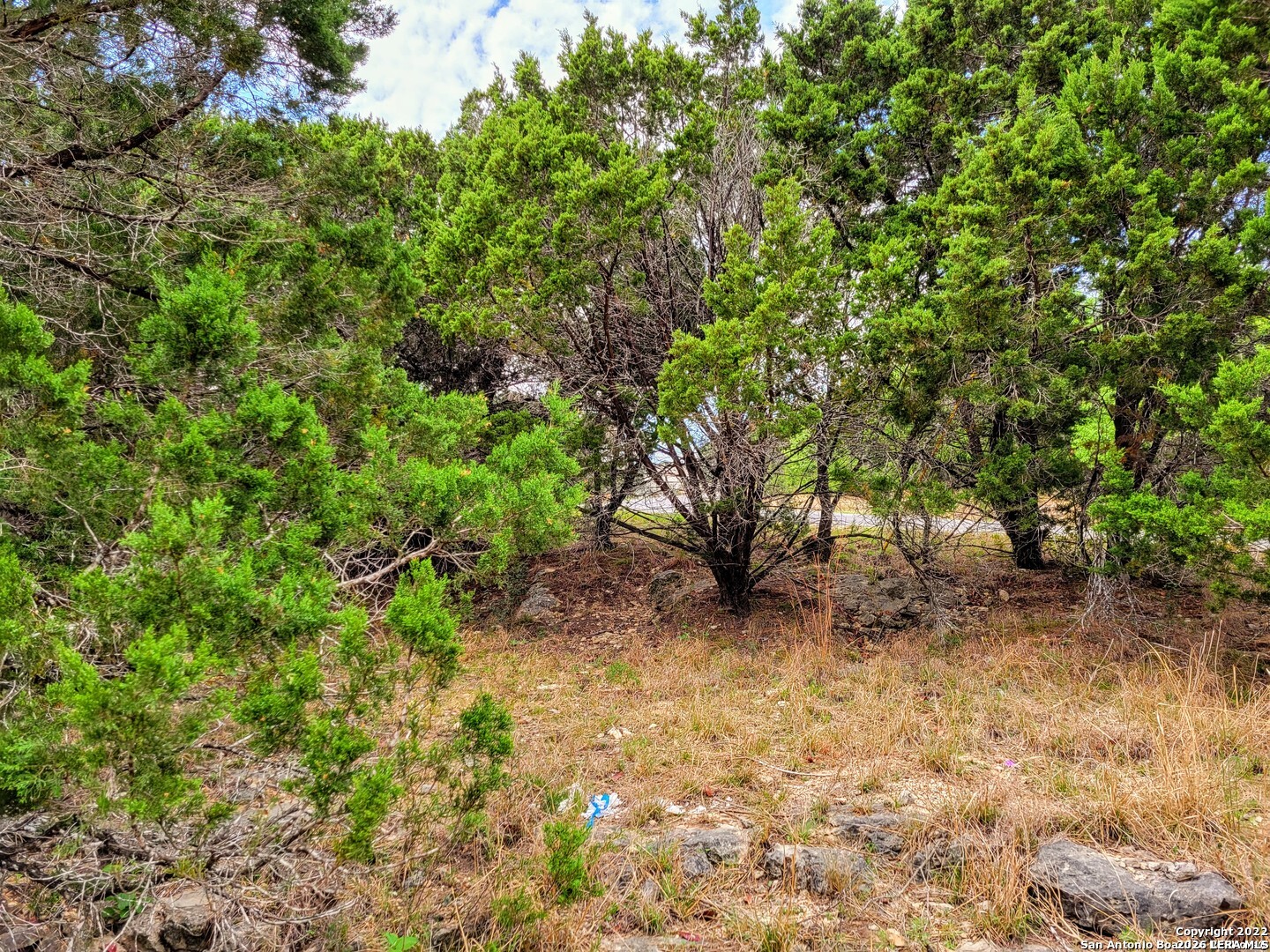1530 Laurie Drive Canyon Lake TX 78133
