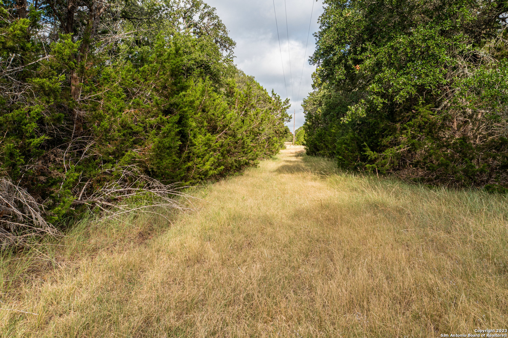 000 Wharton's Dock Road Bandera TX 78003