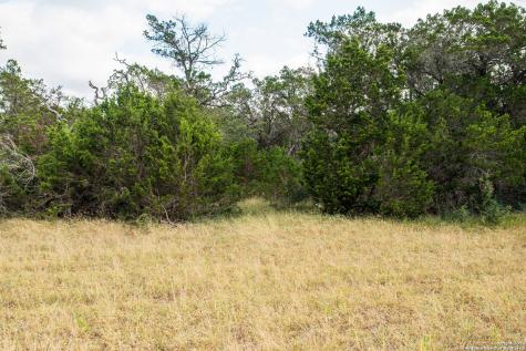000 Wharton's Dock Road Bandera TX 78003