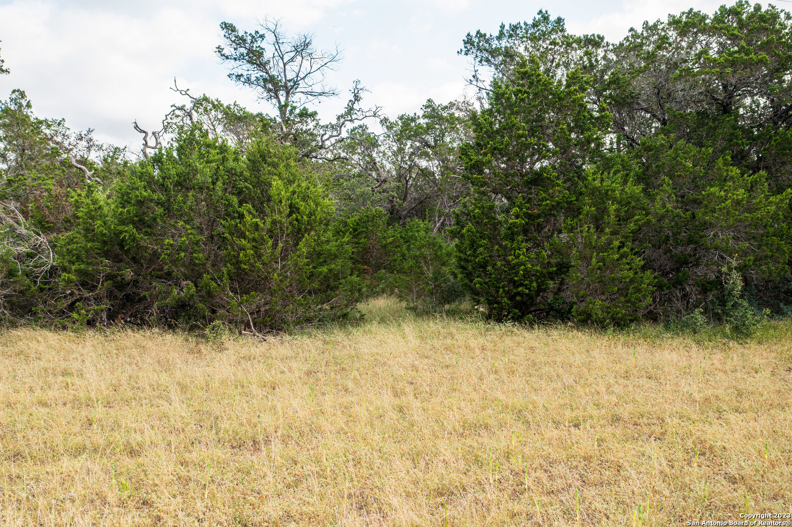 000 Wharton's Dock Road Bandera TX 78003