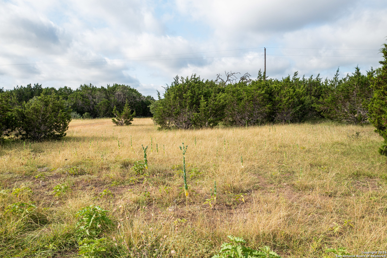 000 Wharton's Dock Road Bandera TX 78003