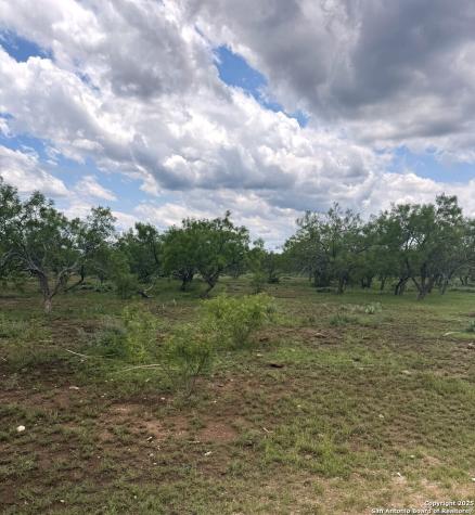 324 Quail Trail Menard TX 76848