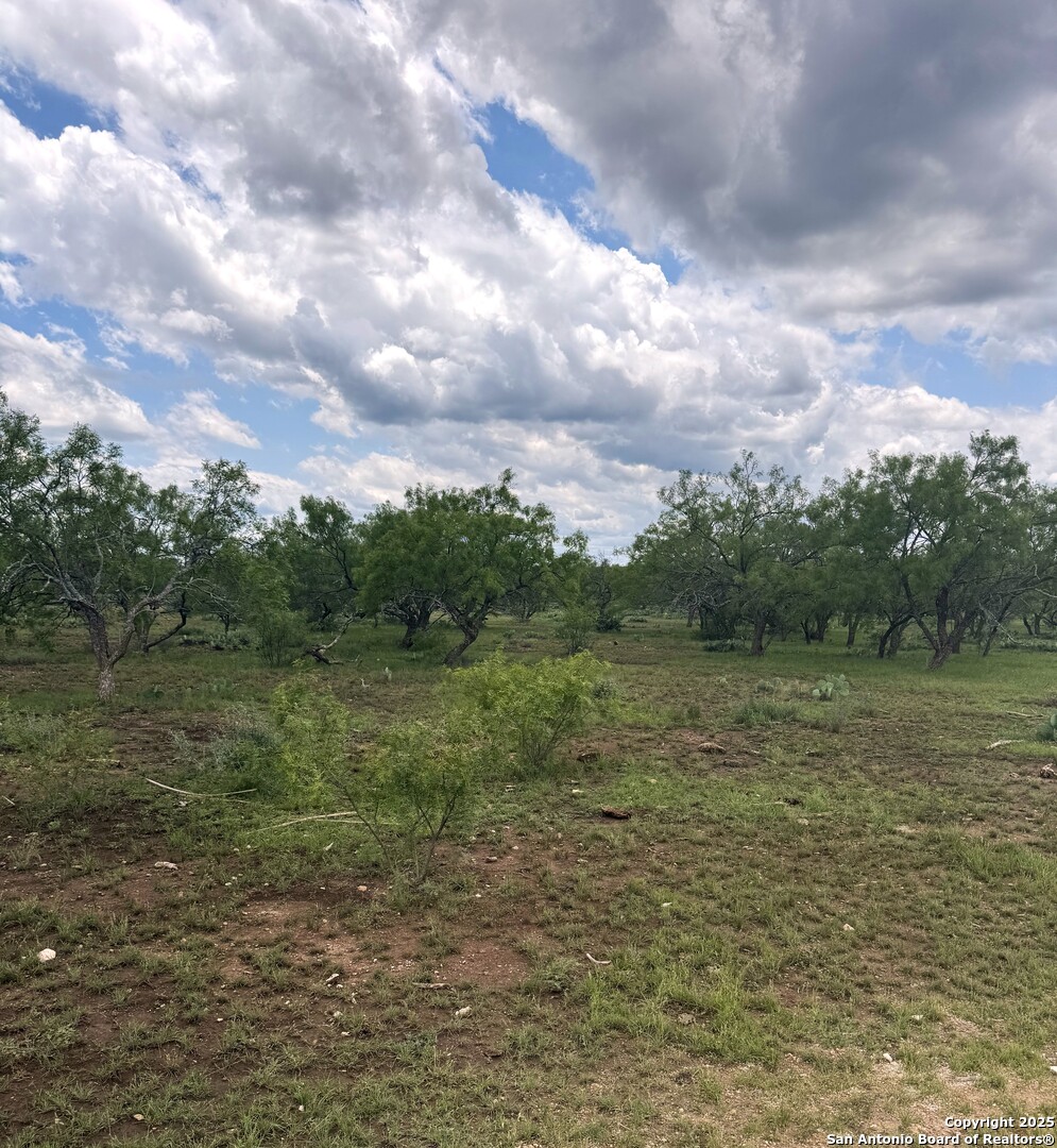 324 Quail Trail Menard TX 76848