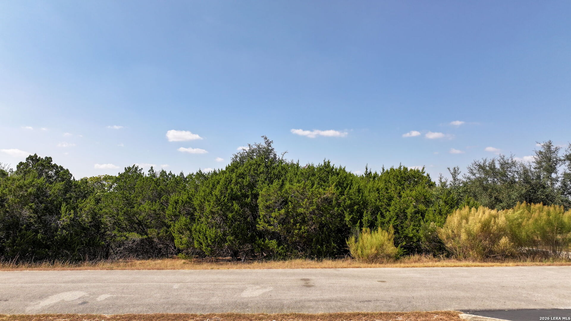 169 Los Colinas Spring Branch TX 78070