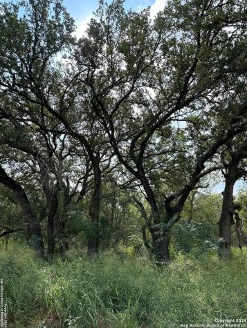 20594 S State Highway 16 Atascosa TX 78264