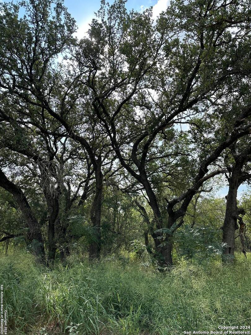 20594 S State Highway 16 Atascosa TX 78264